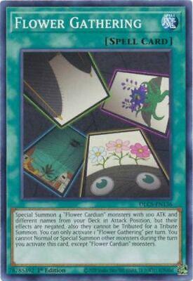 Flower Gathering [1st Edition] DLCS-EN136