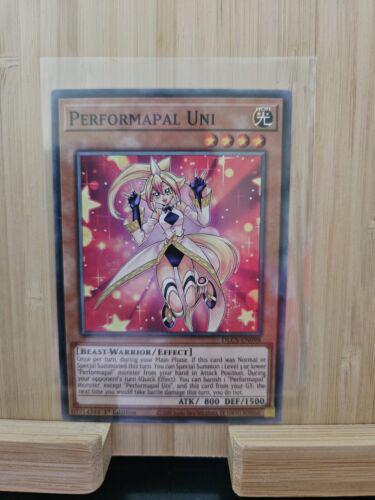 Performapal Uni DLCS-EN098