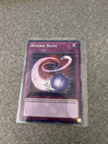 Reverse Reuse DLCS-EN089