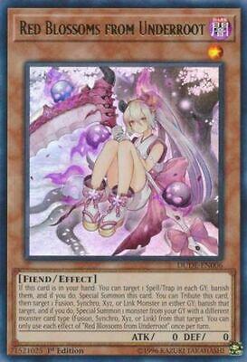 Red Blossoms from Underroot DUDE-EN006