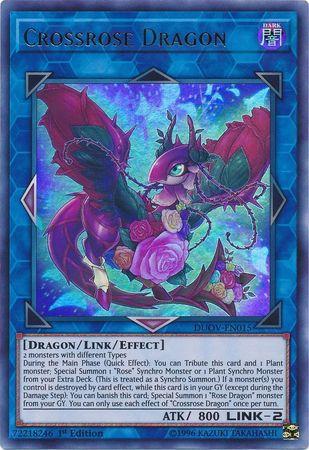 Crossrose Dragon DUOV-EN015