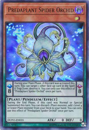 Predaplant Spider Orchid DUPO-EN035