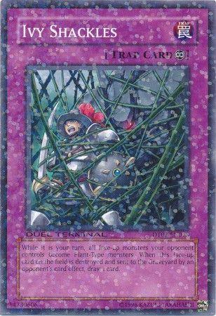 Ivy Shackles DT02-EN098