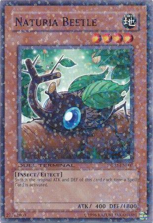 Naturia Beetle DT02-EN007