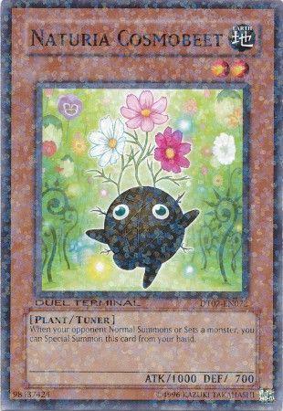 Naturia Cosmobeet DT02-EN072