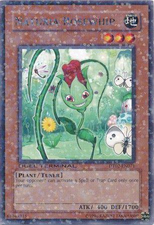 Naturia Rosewhip DT02-EN071