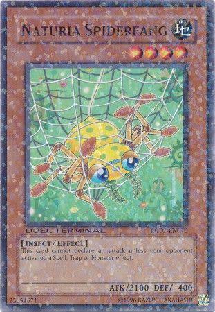 Naturia Spiderfang DT02-EN070