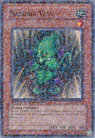 Naturia Vein DT02-EN010