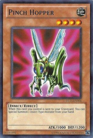 Pinch Hopper DL13-EN006