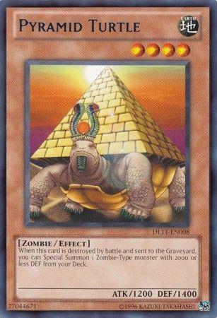Pyramid Turtle DL11-EN008