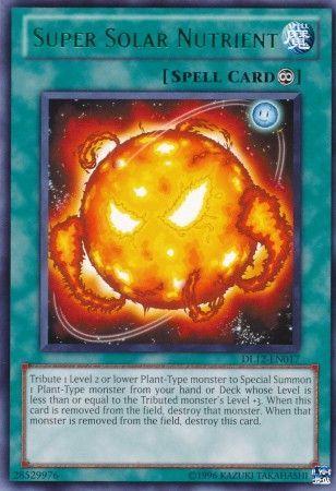 Super Solar Nutrient DL12-EN017
