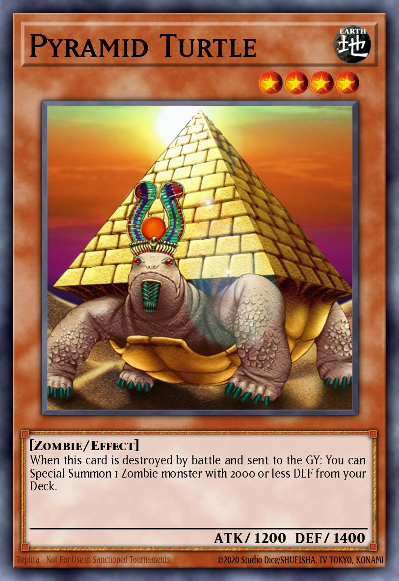 Pyramid Turtle DL11-EN008