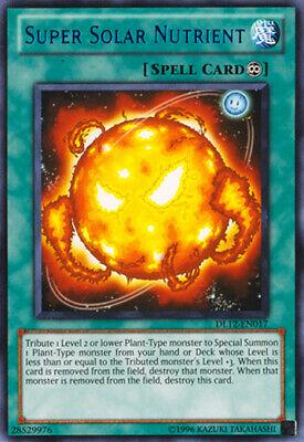 Super Solar Nutrient DL12-EN017