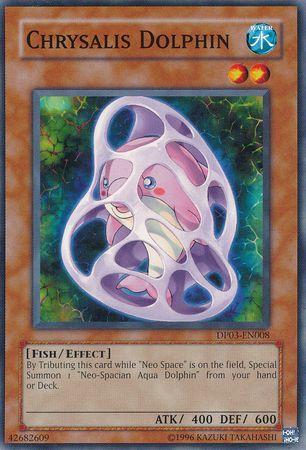 Chrysalis Dolphin DP03-EN008