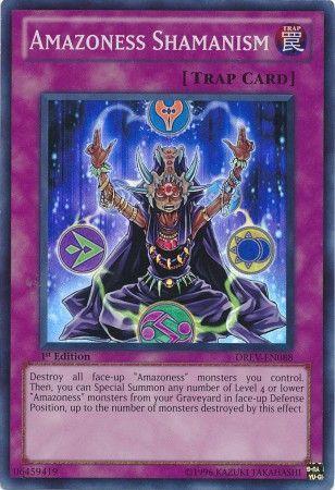 Amazoness Shamanism [1st Edition] DREV-EN088