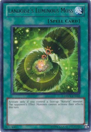 Landoise's Luminous Moss DREV-EN052