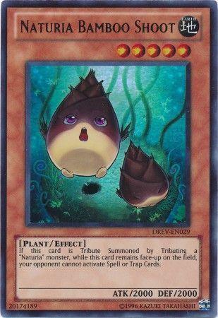 Naturia Bamboo Shoot DREV-EN029