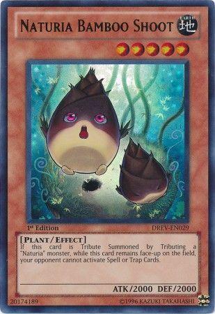Naturia Bamboo Shoot [1st Edition] DREV-EN029