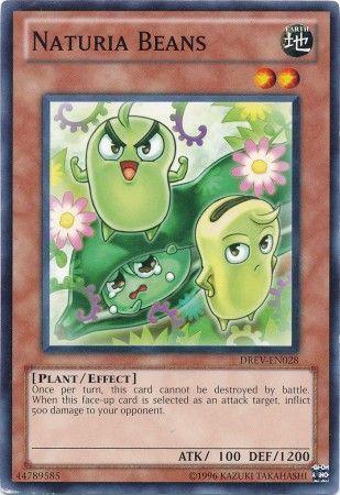 Naturia Beans DREV-EN028