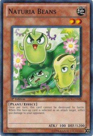 Naturia Beans [1st Edition] DREV-EN028