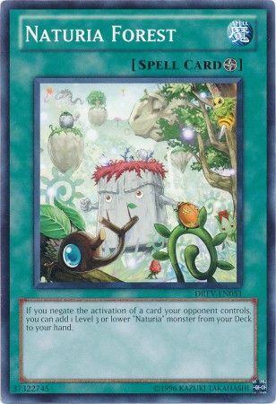 Naturia Forest DREV-EN051