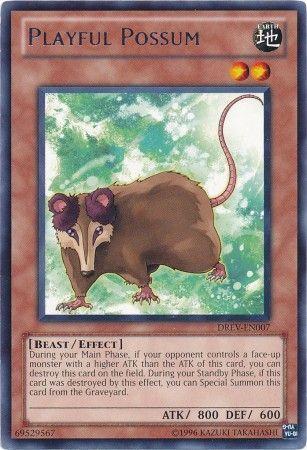 Playful Possum DREV-EN007