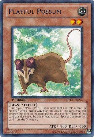 Playful Possum [1st Edition] DREV-EN007