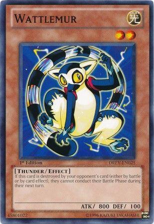 Wattlemur [1st Edition] DREV-EN025