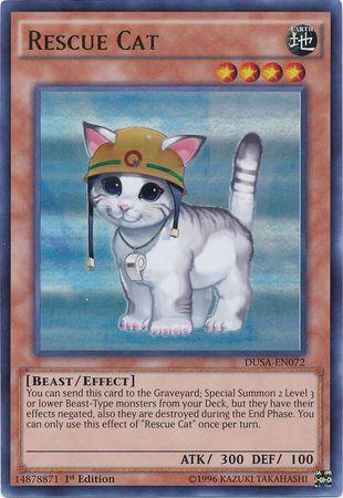 Rescue Cat DUSA-EN072