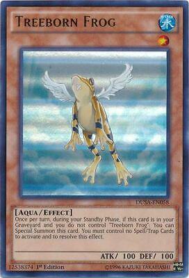 Treeborn Frog DUSA-EN058