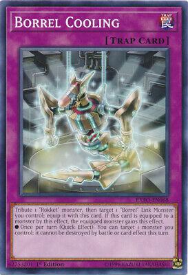Borrel Cooling [1st Edition] EXFO-EN068