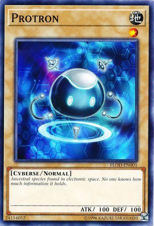 Protron FLOD-EN001