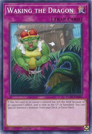 Waking the Dragon [1st Edition] FLOD-EN080