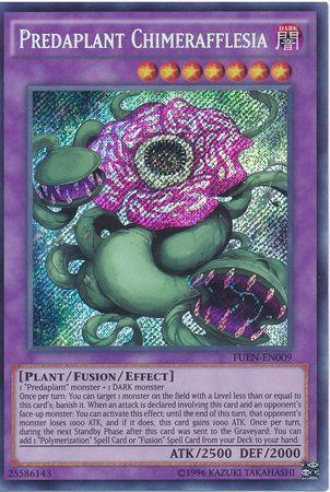 Predaplant Chimerafflesia FUEN-EN009