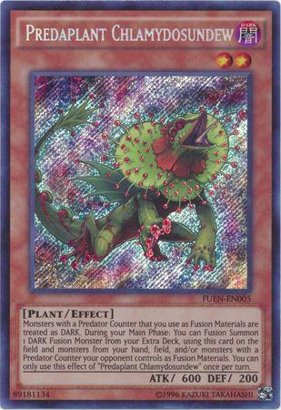 Predaplant Chlamydosundew FUEN-EN005