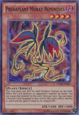 Predaplant Moray Nepenthes FUEN-EN007