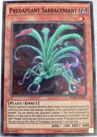 Predaplant Sarraceniant FUEN-EN001