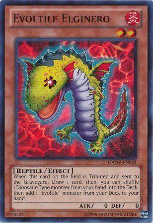 Evoltile Elginero GAOV-EN083