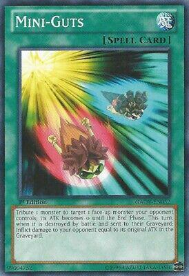 Mini-Guts [1st Edition] GAOV-EN052