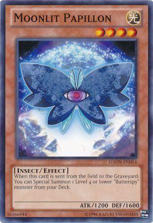 Moonlit Papillon GAOV-EN014