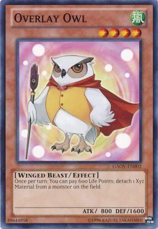 Overlay Owl GAOV-EN003