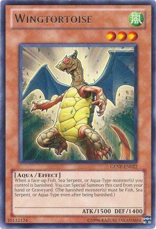 Wingtortoise GENF-EN022