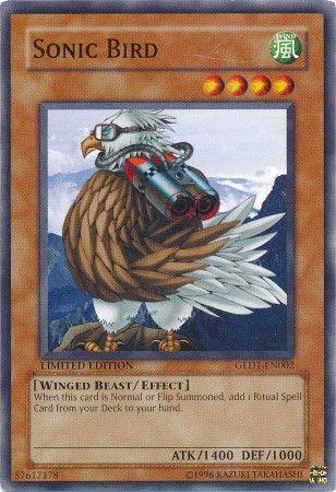 Sonic Bird GLD1-EN002