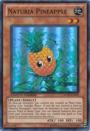 Naturia Pineapple HASE-EN002