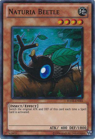 Naturia Beetle HA02-EN001