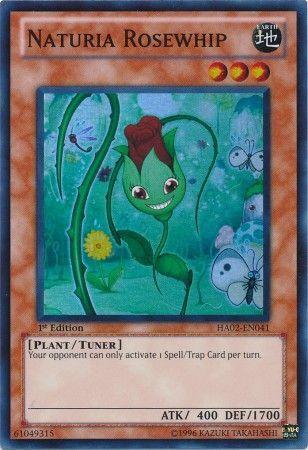 Naturia Rosewhip [1st Edition] HA02-EN041