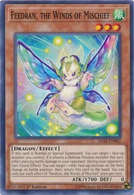 Feedran, the Winds of Mischief [1st Edition] IGAS-EN082