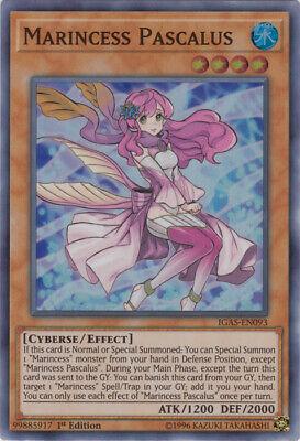 Marincess Pascalus [1st Edition] IGAS-EN093