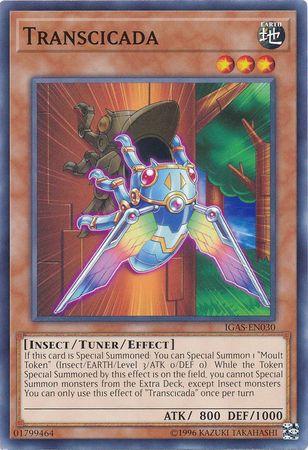 Transcicada IGAS-EN030