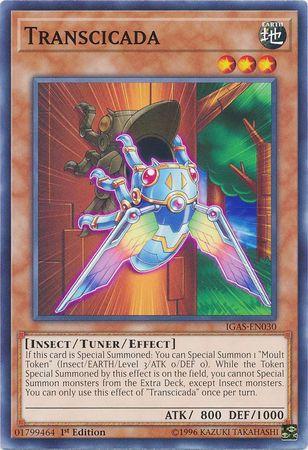Transcicada [1st Edition] IGAS-EN030